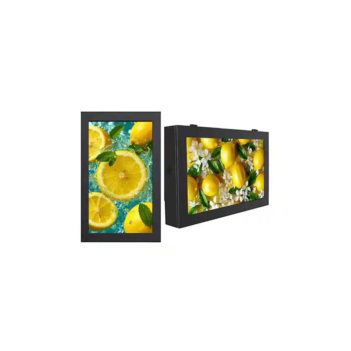 Outdoor-Wallmount
